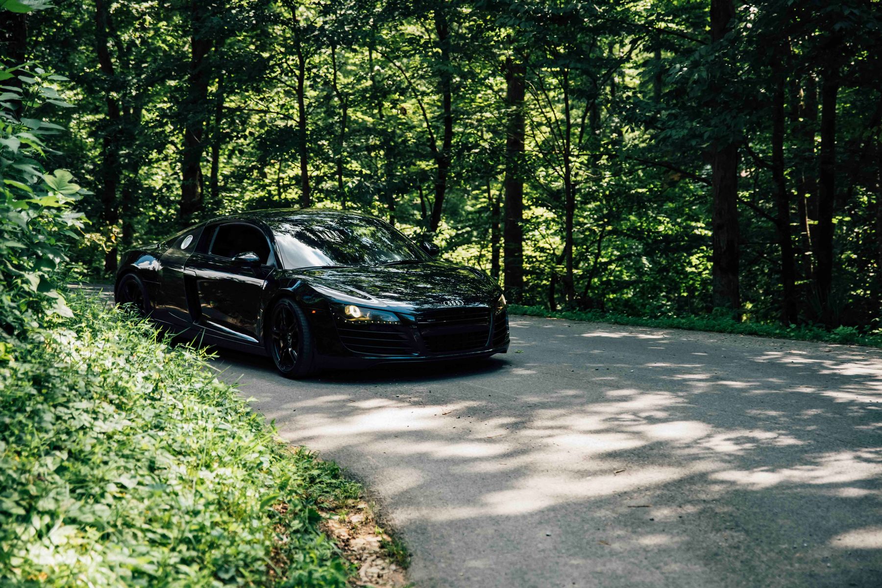 A freshly polished dark car surrounded by green scenery